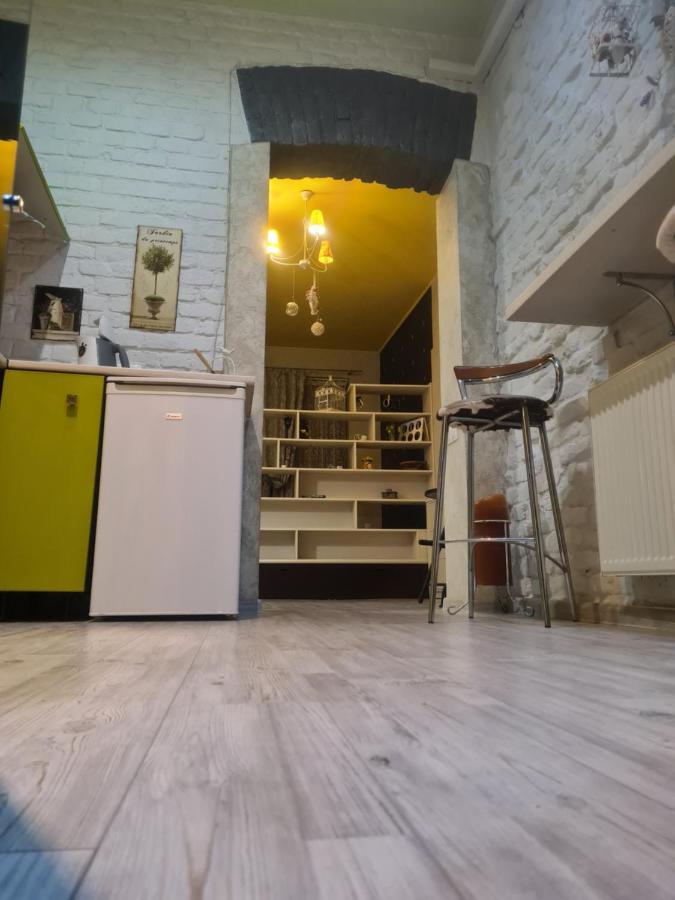 Cozy Compact Flat In The City Center Lviv Exteriör bild